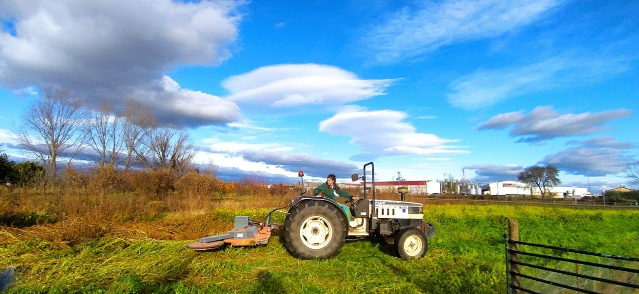 Joven agricultora laboreando con un tractor