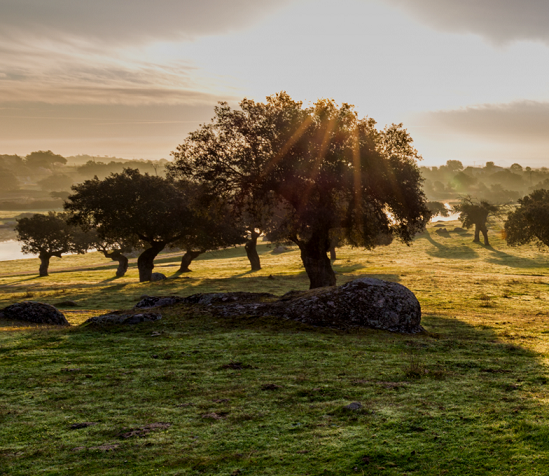Paisaje extremeño