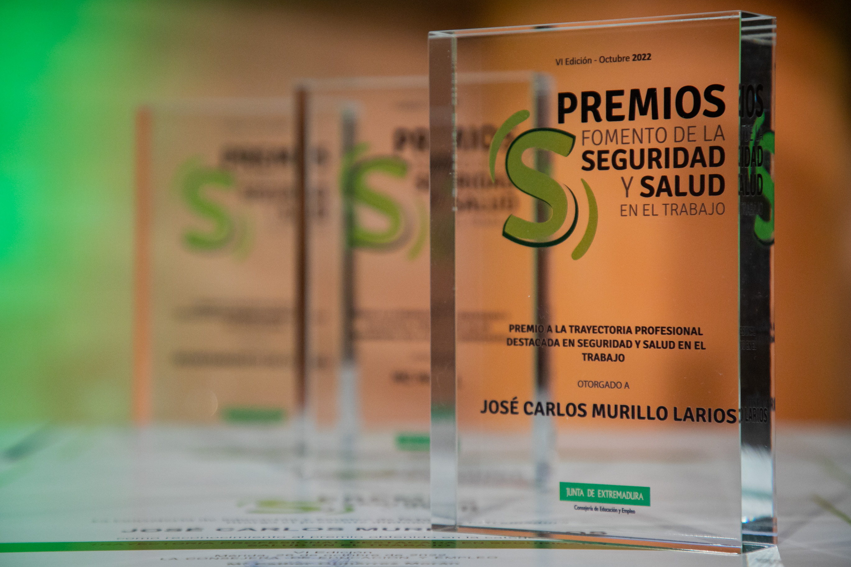 premios de fomento de la seguridad y salud en el trabajo 5