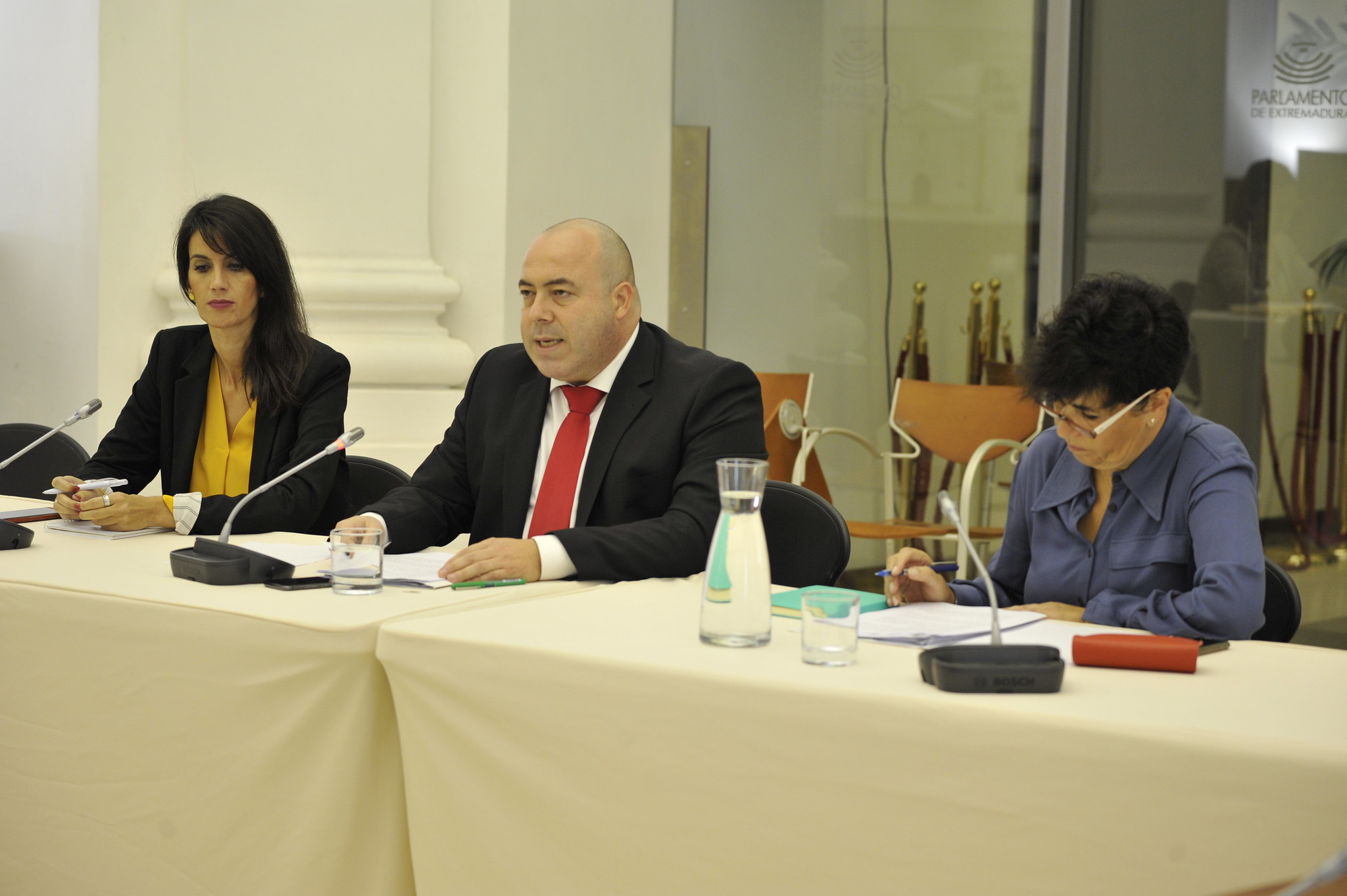 Foto de la comparecencia del secretario general de la Consejería de Cultura, Turismo y Deportes, Pedro Alvarado Rodríguez, en la Asamblea de Extremadura