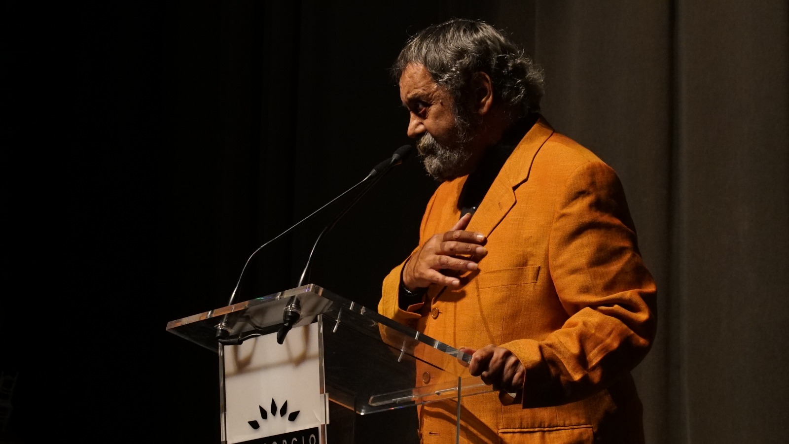 Foto de Ramón 'El Portugués' durante la gala Flamenco Patrimonio Inmaterial de la Humanidad