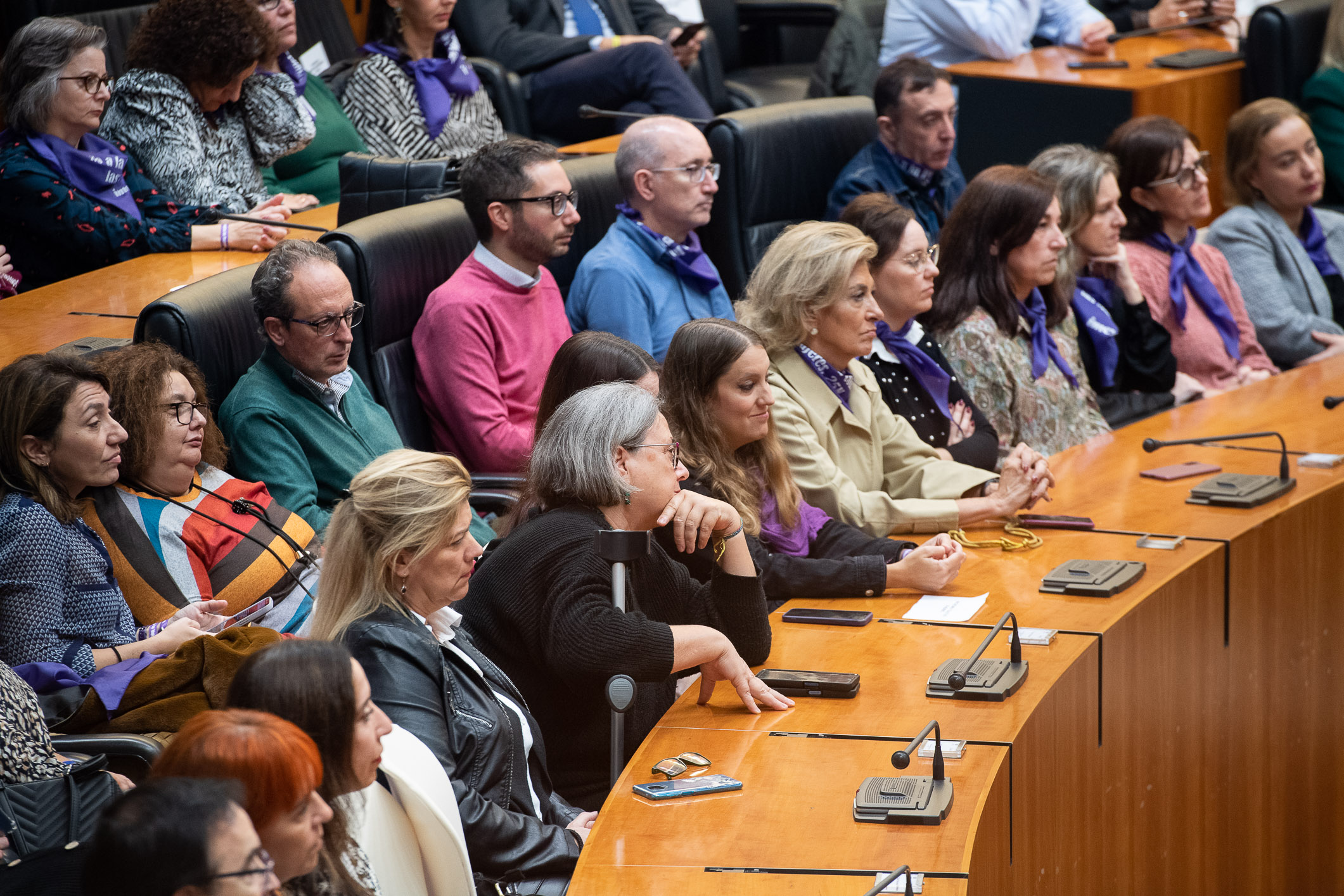 celebración del acto institucional con motivo del 25 de noviembre, Día Internacional para la Erradicación de la Violencia contra las Mujeres