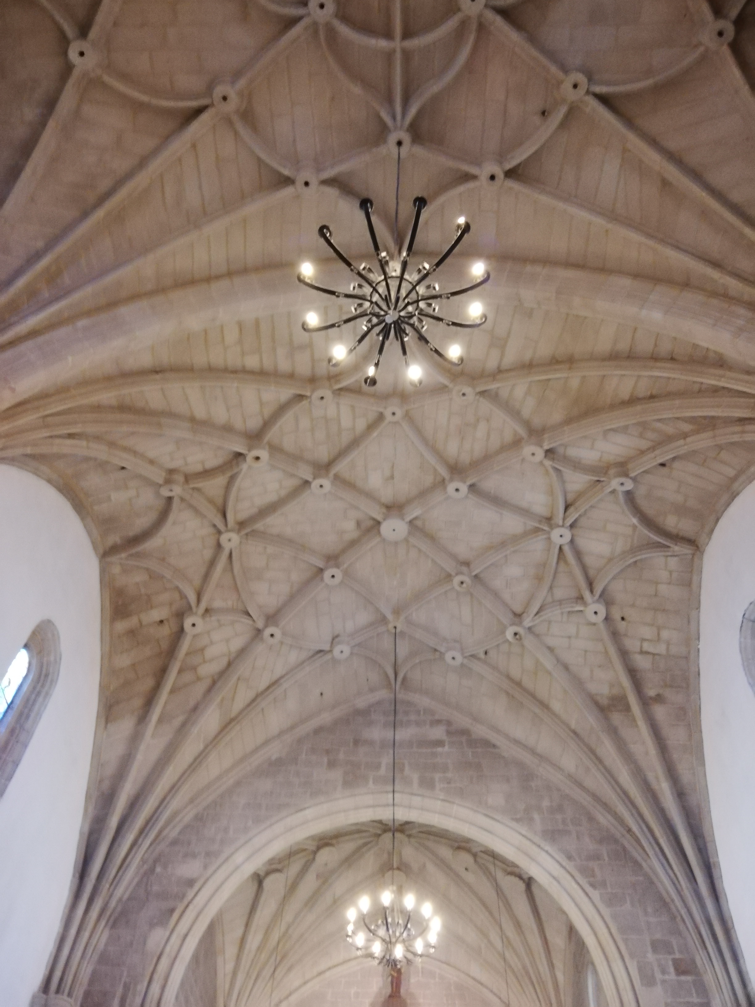 Bóvedas de la Iglesia de San Pedro de Gata