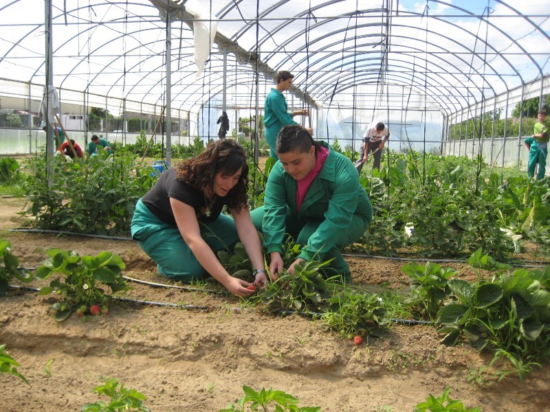 Personas en el Centro de Fromación del Medio Rural de Don Benito