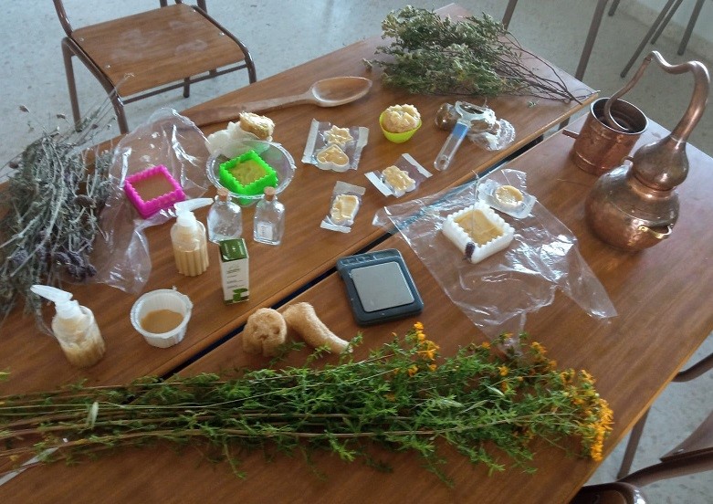 Imagen plantas silvestres