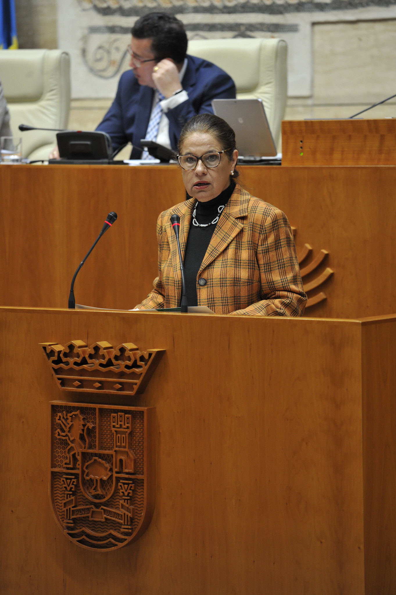Foto de la vicepresidenta primera y consejera de Hacienda y Administración Pública durante el pleno