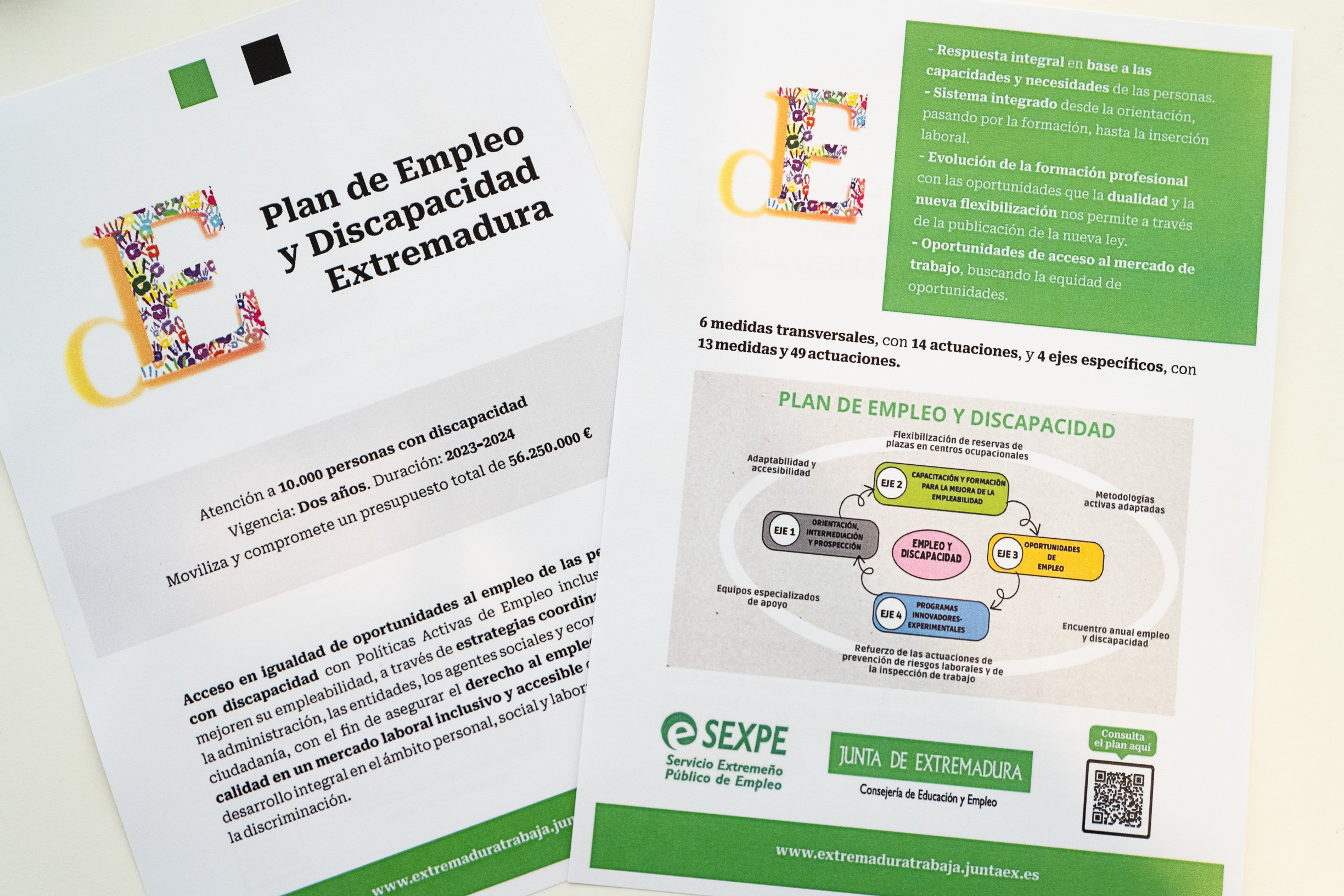 Plan empleo discapacidad