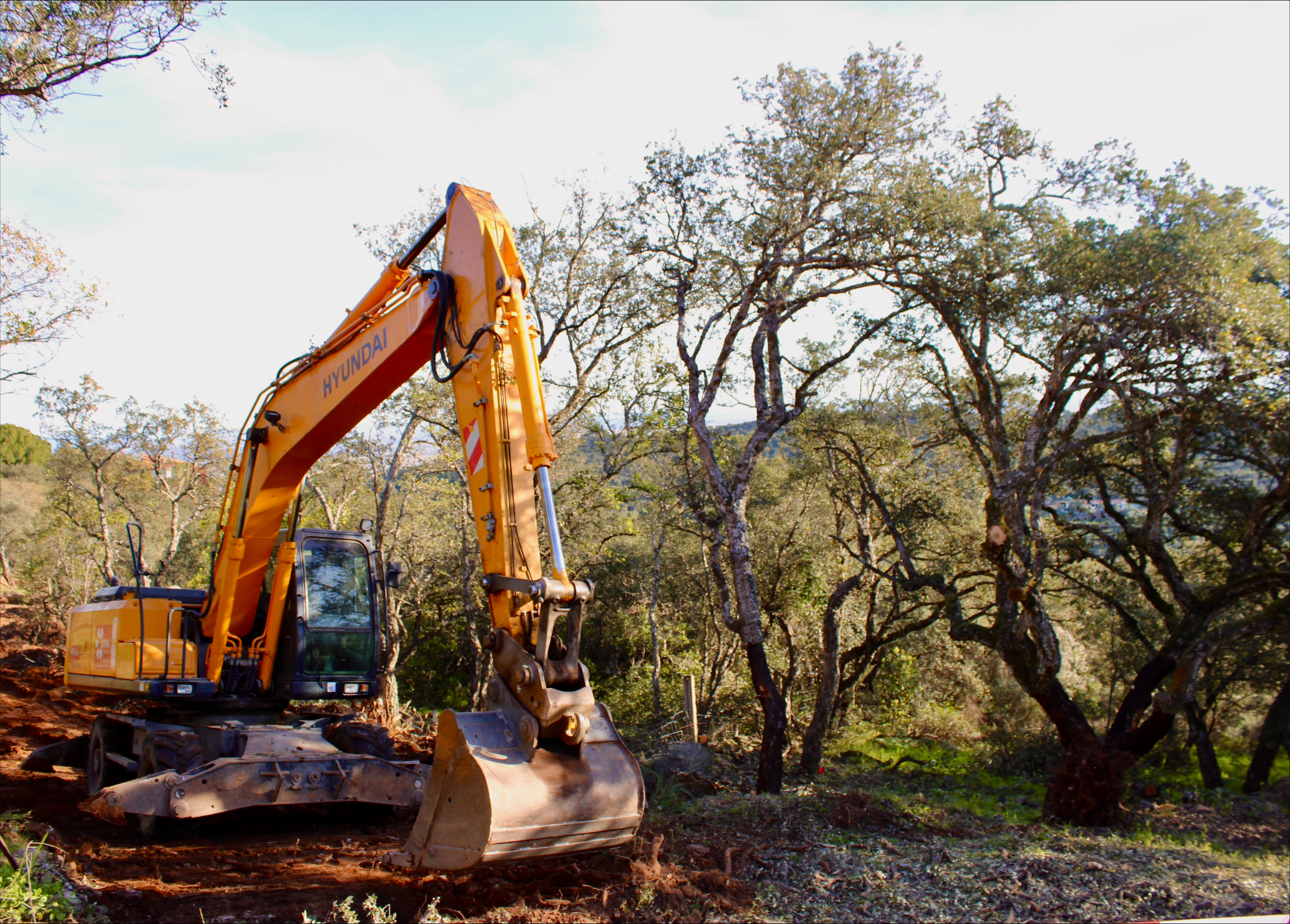 Trabajos en la Sierra de la Mosca