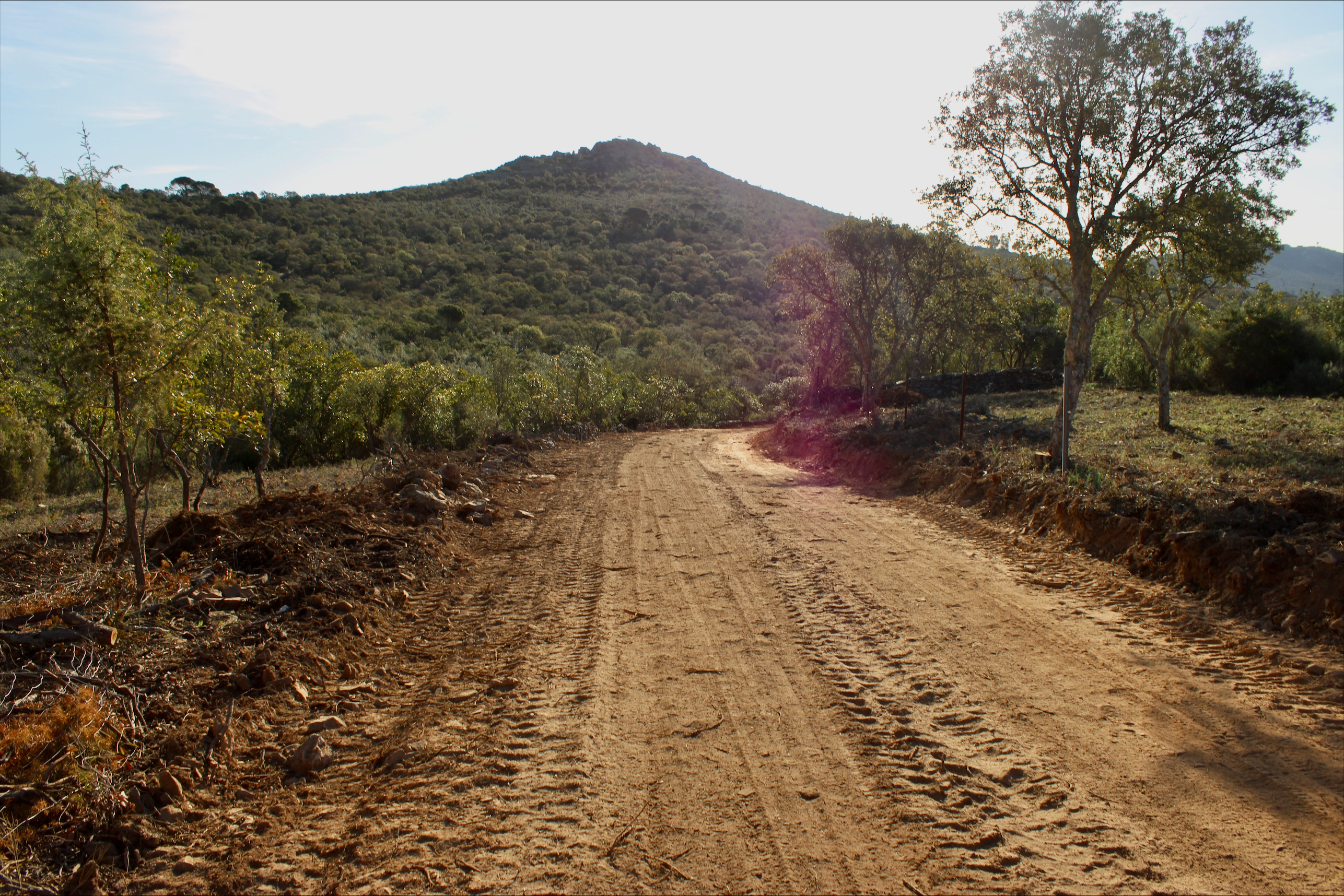 Caminos que se hacen