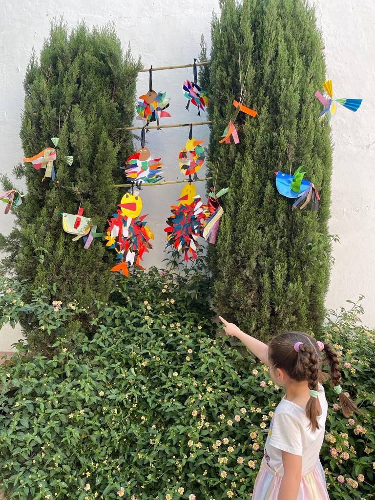 Festival de las Aves de Cáceres