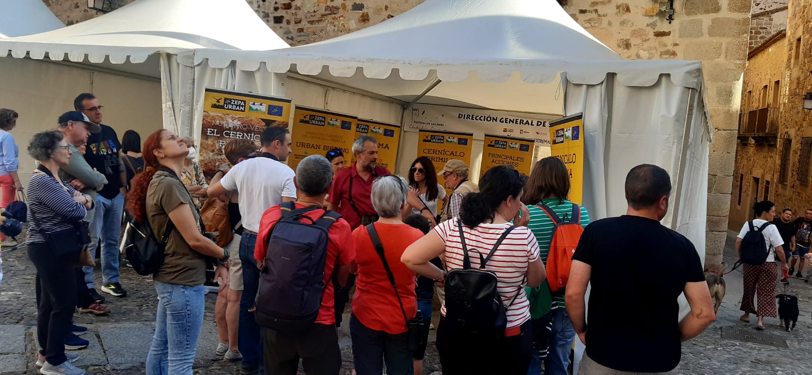 Festival de las Aves de Cáceres