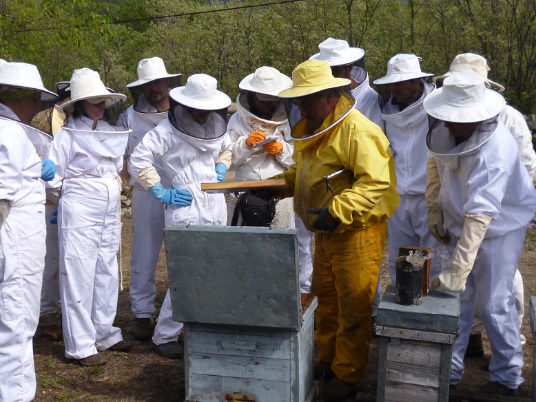 Foto de apicultores