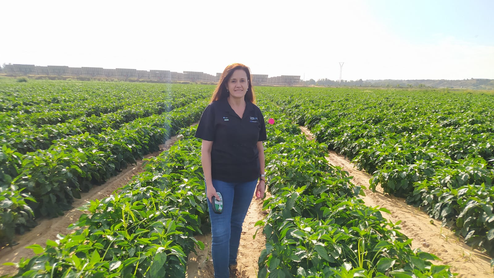 Valme González en plantación de pimientos