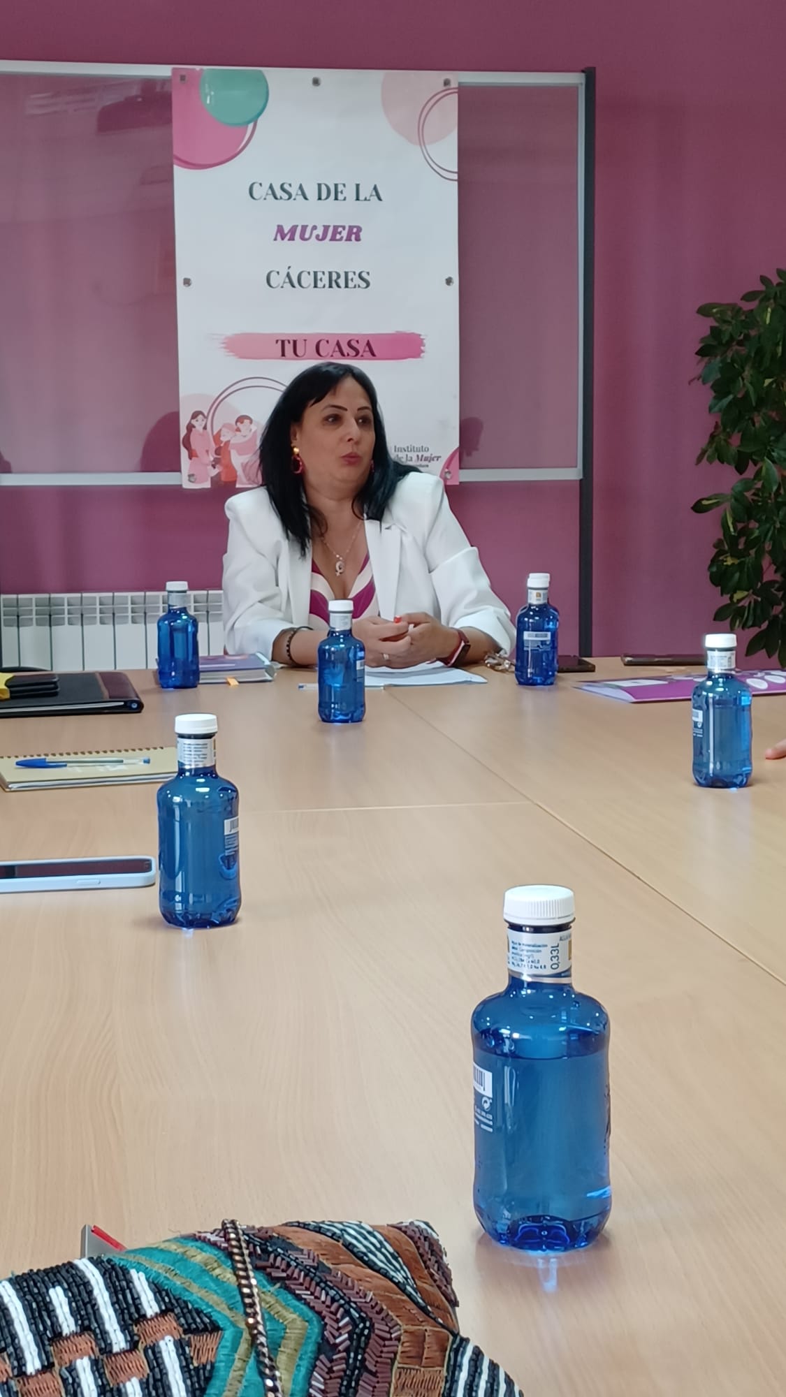 Foto de la directora general del IMEX durante la reunión