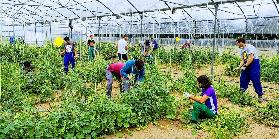 Image 1 of article El Centro de Formación del Medio Rural de Don Benito acoge el 30 de noviembre la 'Jornada de Gestión Ambiental Sostenible del Nitrógeno en Agricultura y Ganadería'