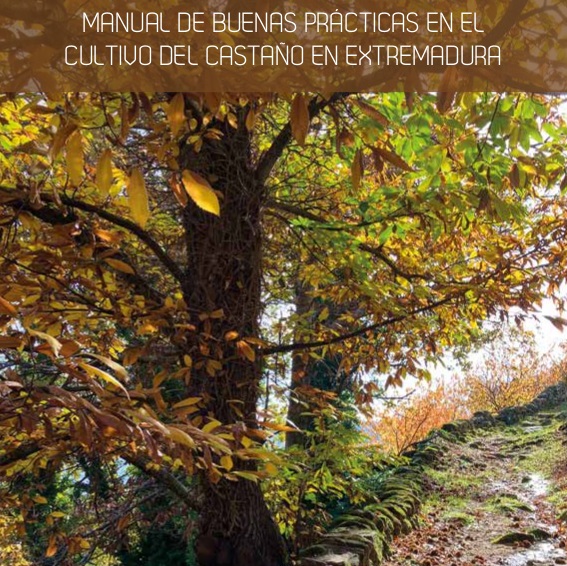 Image 1 of article CICYTEX, empresas productoras y la Universidad de Extremadura elaboran un manual de buenas prácticas en el cultivo del castaño