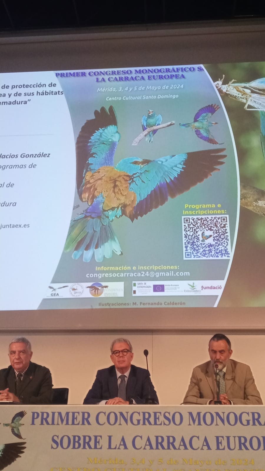 Image 1 of article La Junta de Extremadura participa en el I Congreso Ornitológico de la Carraca Europea