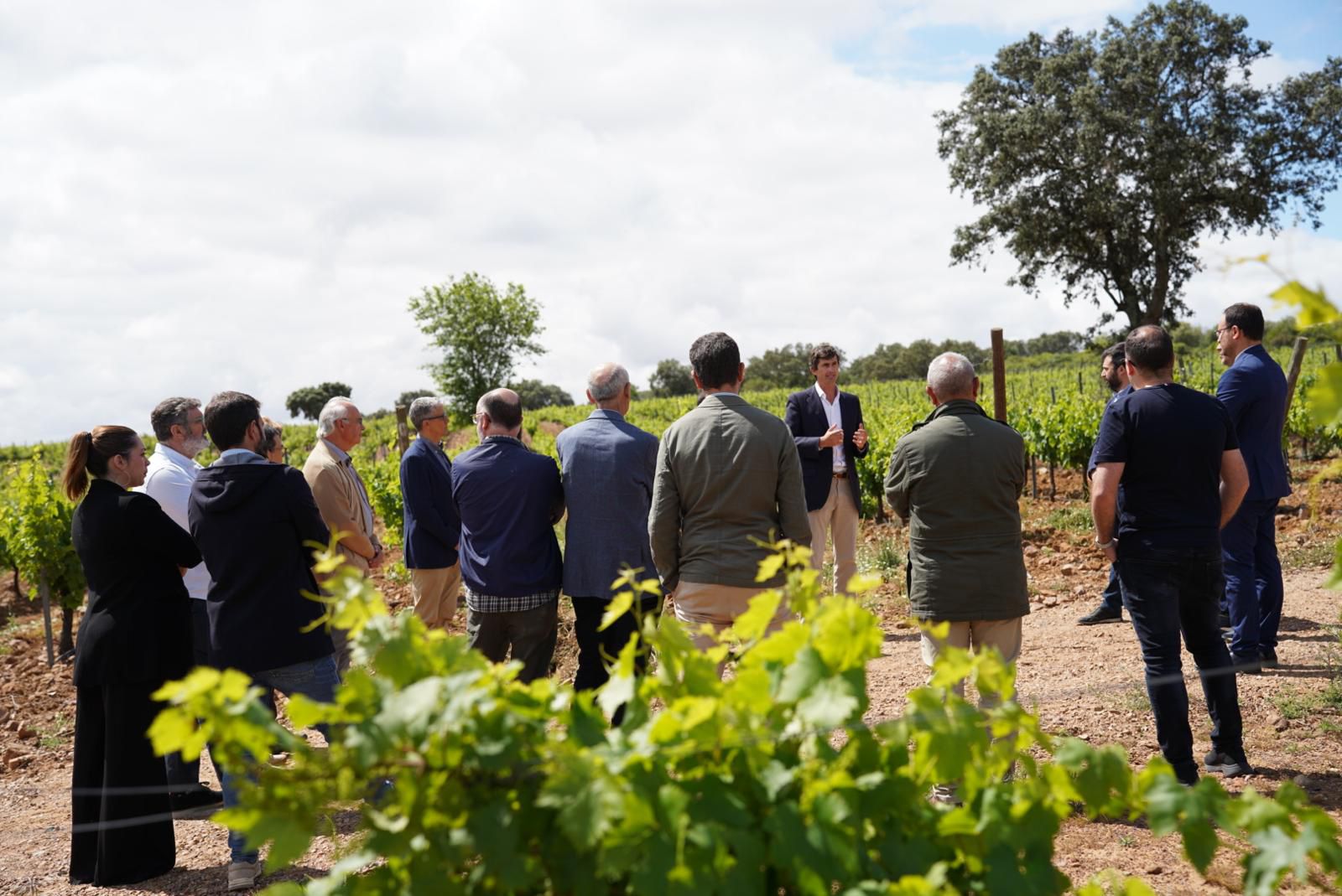 Image 0 of article La Junta de Extremadura remarca la importancia del vino como motor de desarrollo en zonas rurales