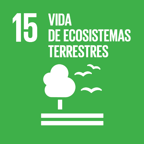 Proteger, restablecer y promover el uso sostenible de los ecosistemas terrestres, gestionar sosteniblemente los bosques, luchar contra la desertificación, detener e invertir la degradación de las tierras y detener la pérdida de biodiversidad