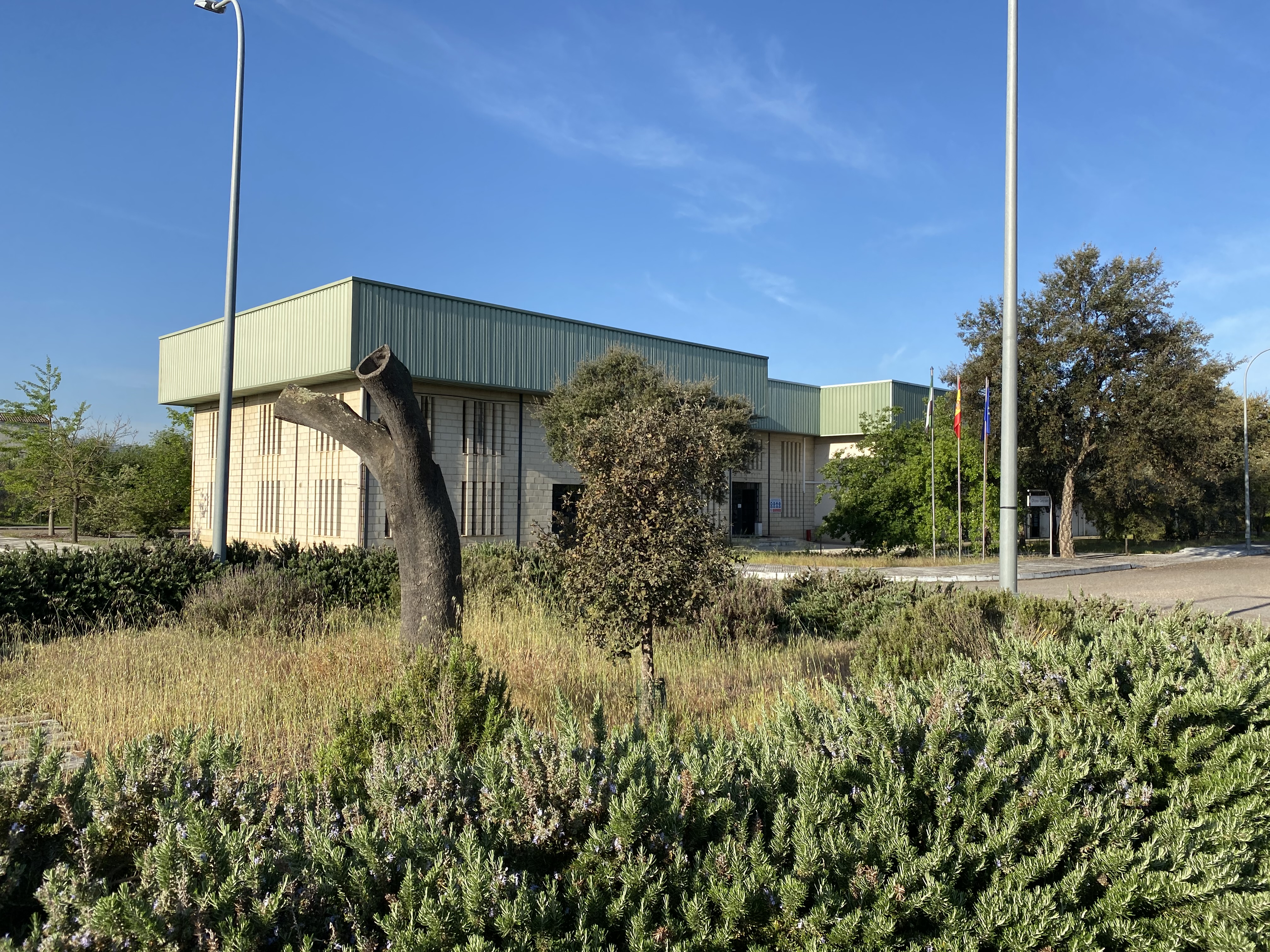 Image 0 of article El Instituto del Corcho, la Madera y el Carbón Vegetal cumple 40 años comprometido con el progreso del sector forestal extremeño