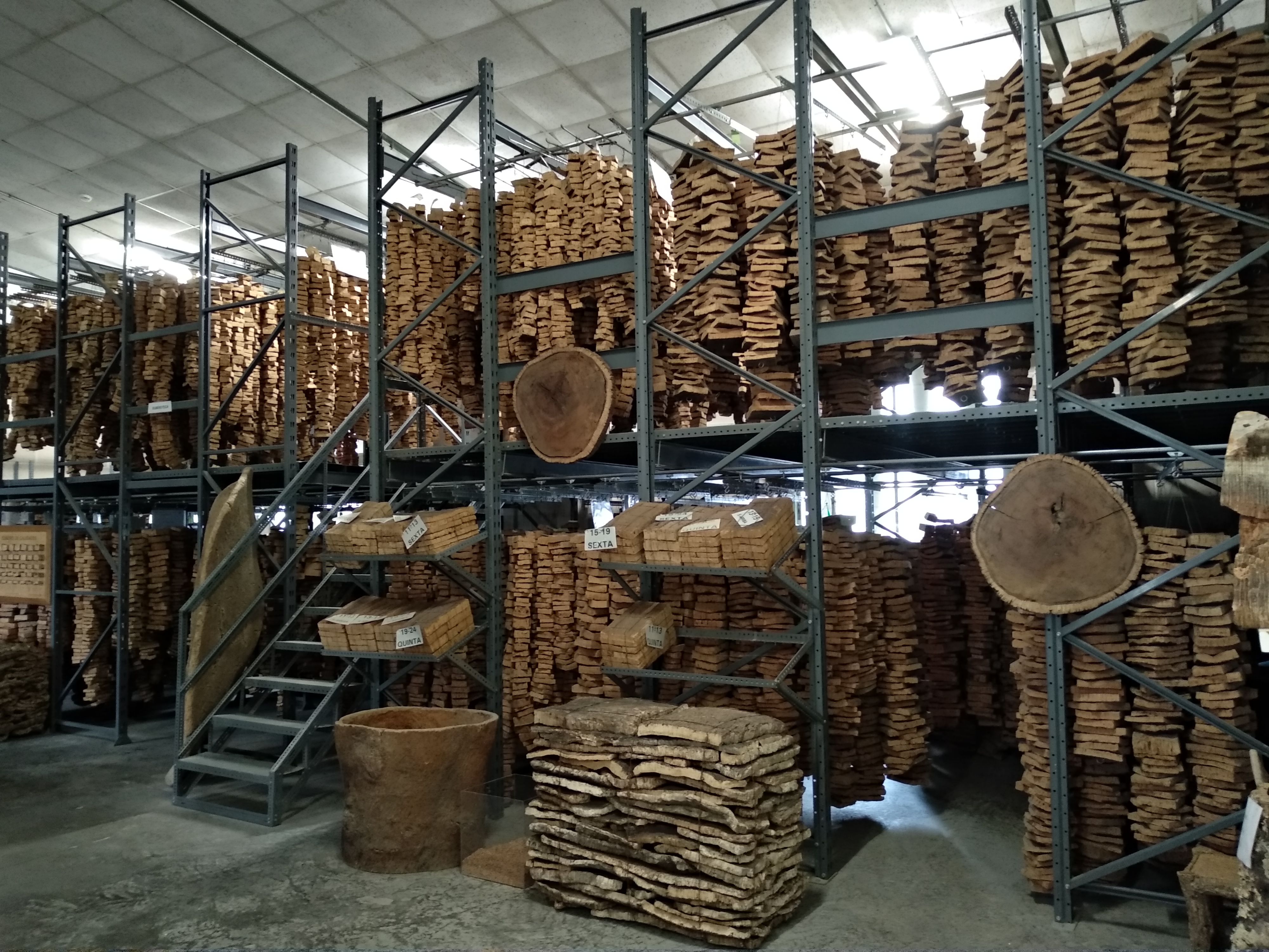 Image 2 of article El Instituto del Corcho, la Madera y el Carbón Vegetal cumple 40 años comprometido con el progreso del sector forestal extremeño