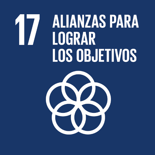 Logotipo Objetivo 17