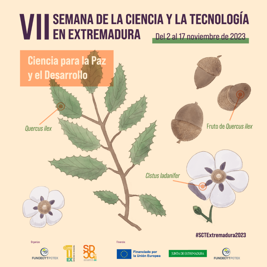Imagen del artículo La VII Semana de la Ciencia y la Tecnología en Extremadura ofrecerá más de 100 actividades de divulgación científica por toda la región