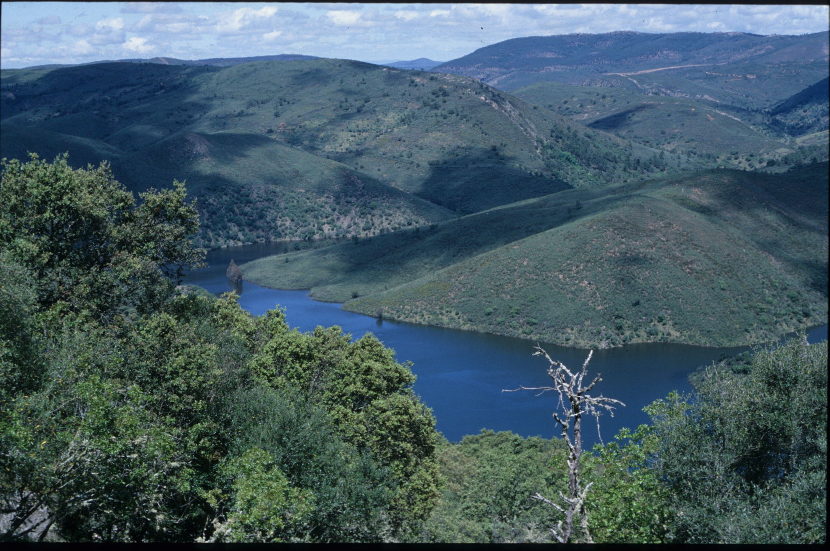 Imagen del artículo El nuevo Plan Rector de Uso y Gestión para el Parque Nacional de Monfragüe sale a información pública