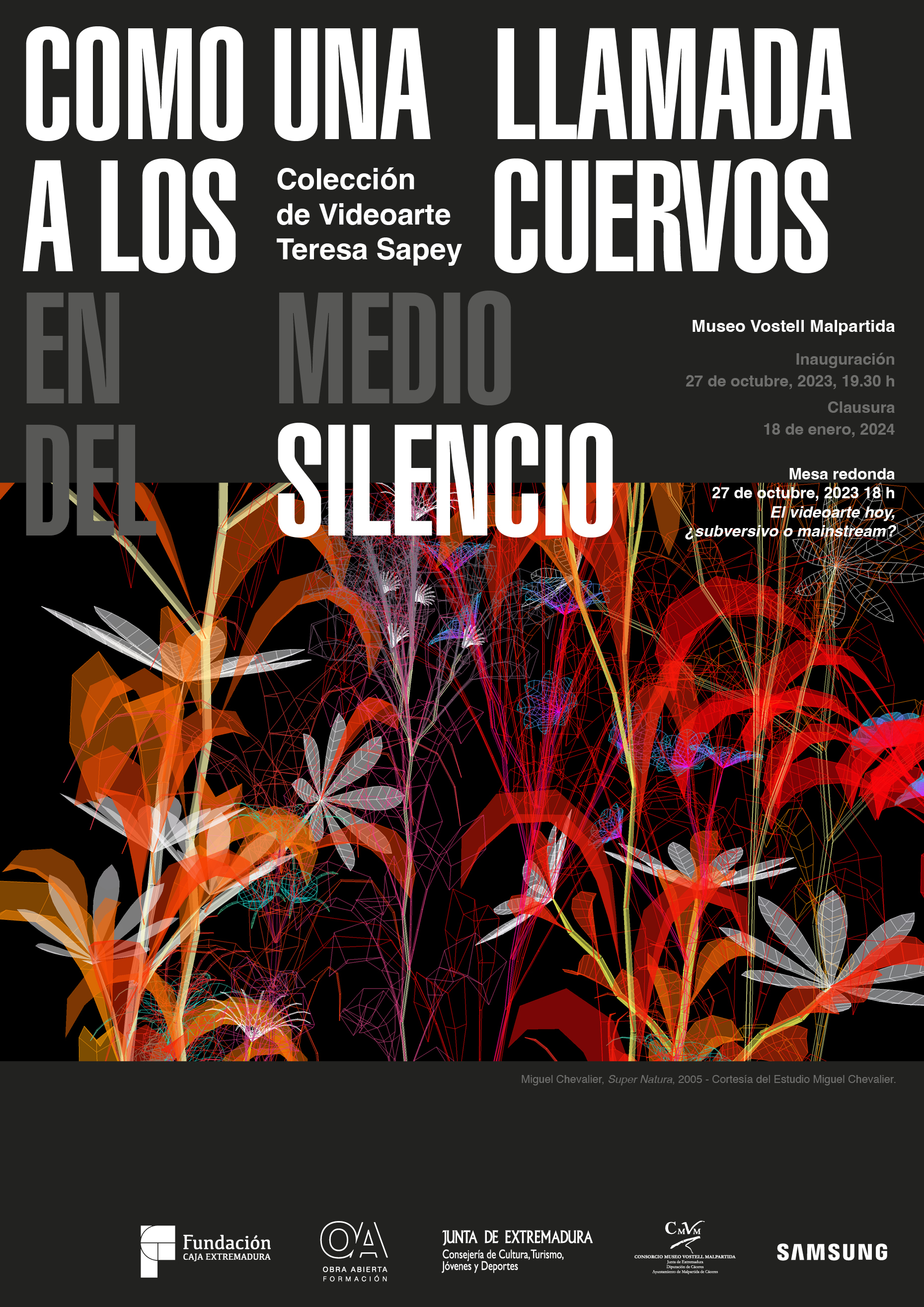 Image 1 of article El videoarte se cuela en el Museo Vostell Malpartida con obras de Bill Viola y Marina Abramovic