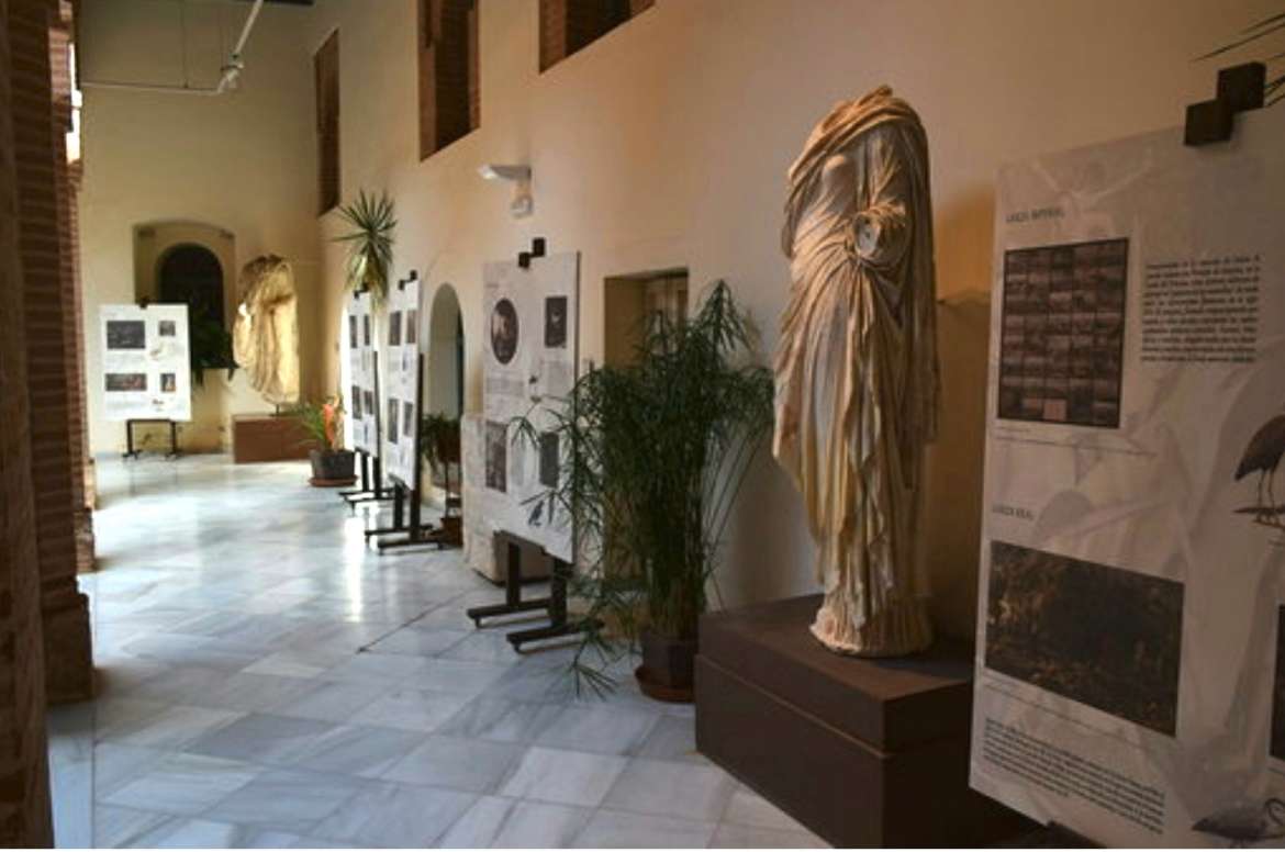 Foto Museo Arqueológico Provincial de Badajoz