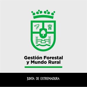 20251009 La Junta de Extremadura recepciona dos obras por más de medio ...