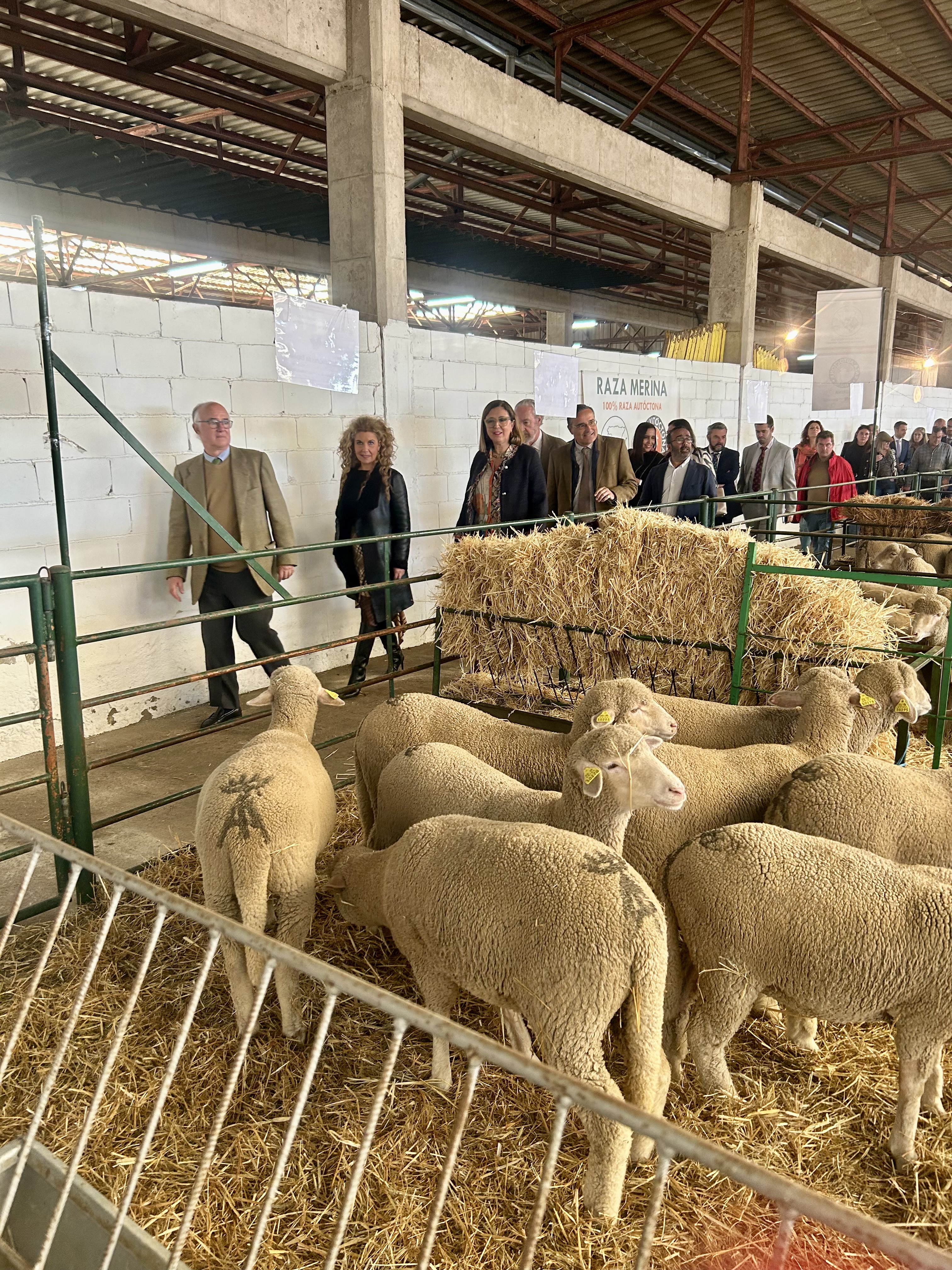 La consejera de Agricultura, Ganadería y Desarrollo Sostenible, Mercedes Morán, durante la inauguración de la feria de Trujillo.