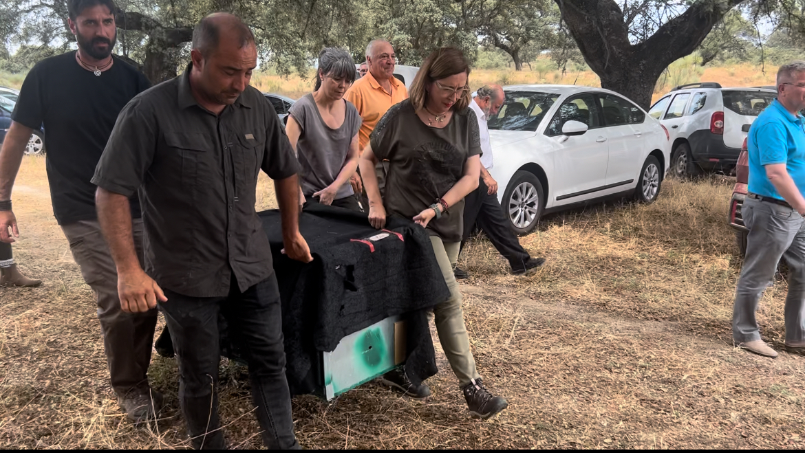 Image 2 of article Mercedes Morán participa en el experimento único en Europa de suelta de una lince y su cría para estudiar su comportamiento y desarrollo