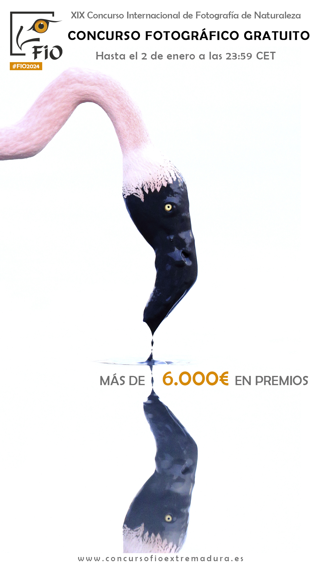 Image 1 of article FIO abre el plazo de su concurso fotográfico y aumenta el total de premios hasta 6.800 euros