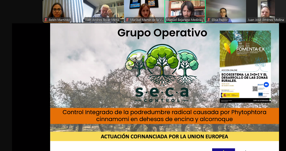 Imagen de la noticia