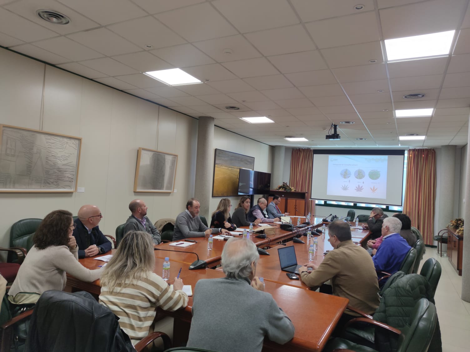 Image 1 of article Junta, CTAEX, CICYTEX, OITAB y CETARSA ponen en común resultados del proyecto piloto de siembra de cáñamo industrial en Extremadura