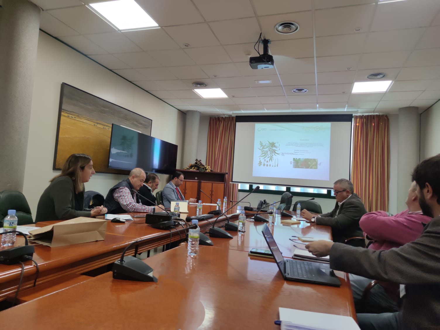 Image 0 of article Junta, CTAEX, CICYTEX, OITAB y CETARSA ponen en común resultados del proyecto piloto de siembra de cáñamo industrial en Extremadura