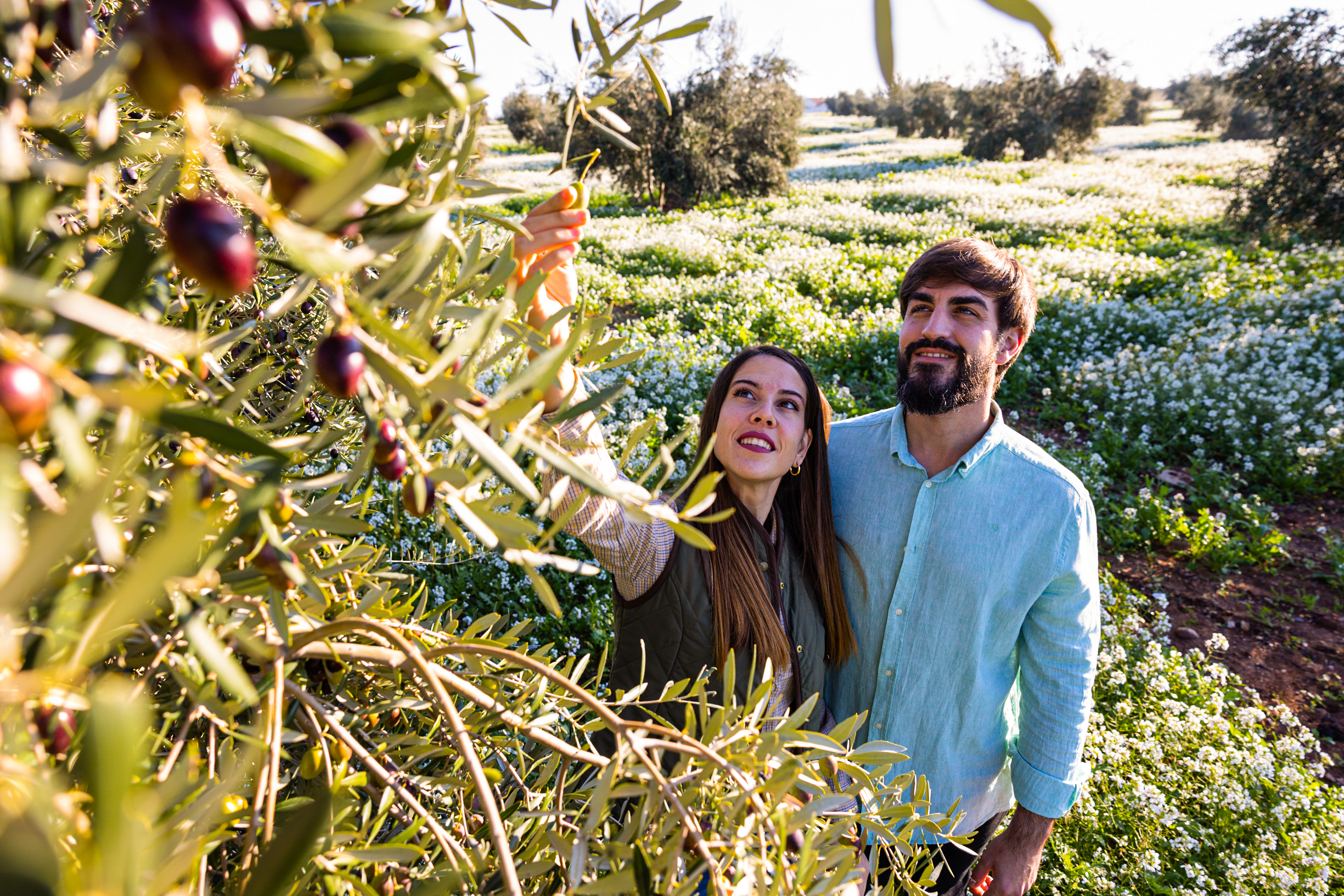 Ruta del Aceite de Extremadura