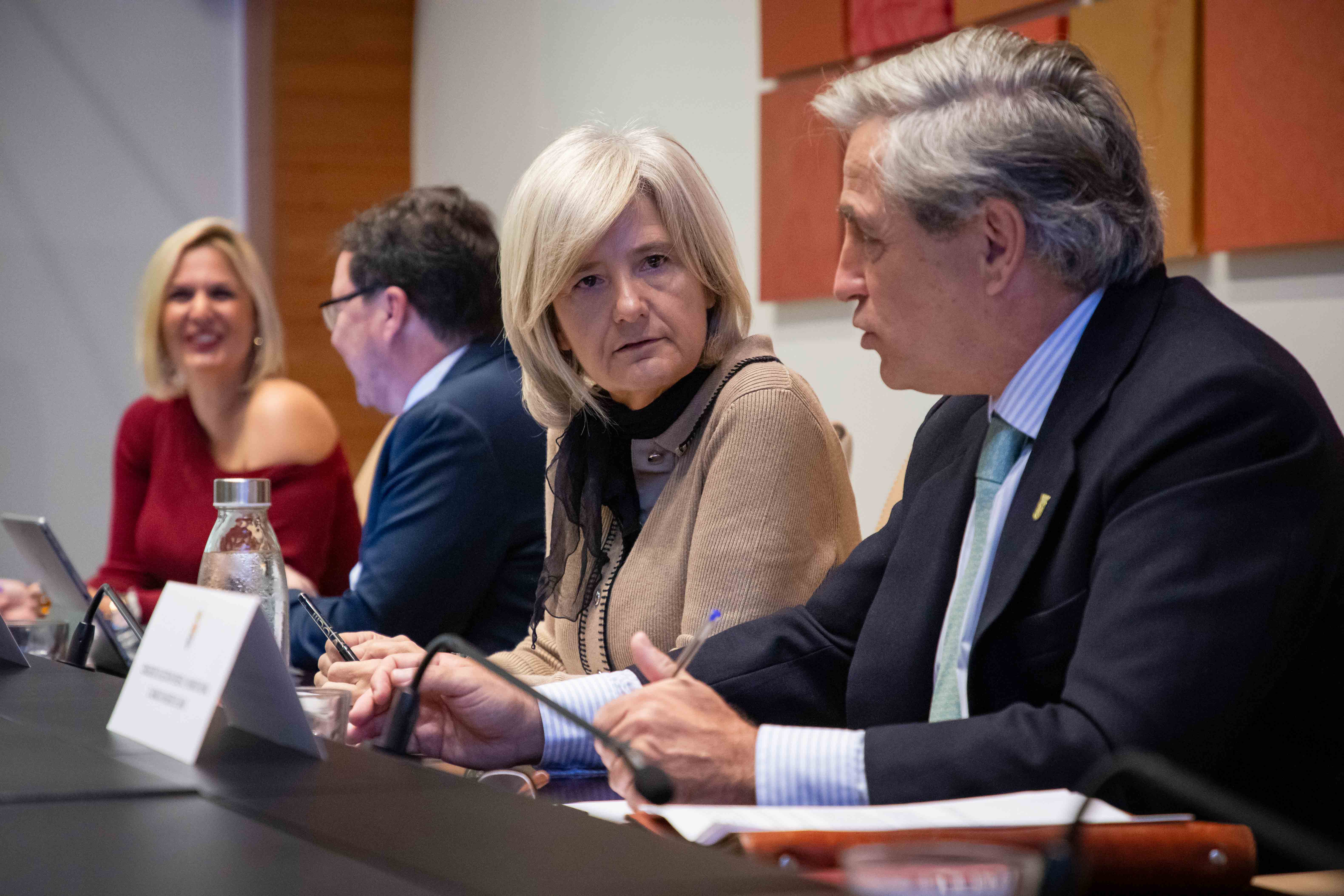 Image 5 of article El Consejo de Gobierno aprueba una ayuda de hasta 1.000 euros al año para las familias de acogida de menores