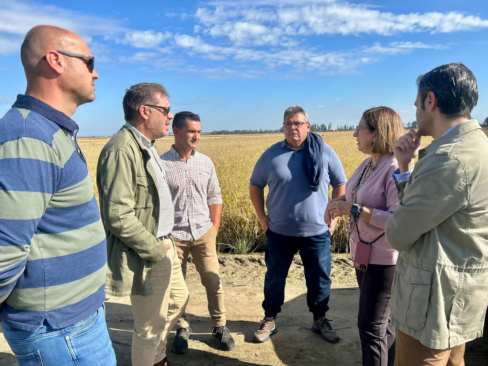 Imagen del artículo Mercedes Morán visita una plantación arrocera para abordar sobre el terreno las necesidades del sector