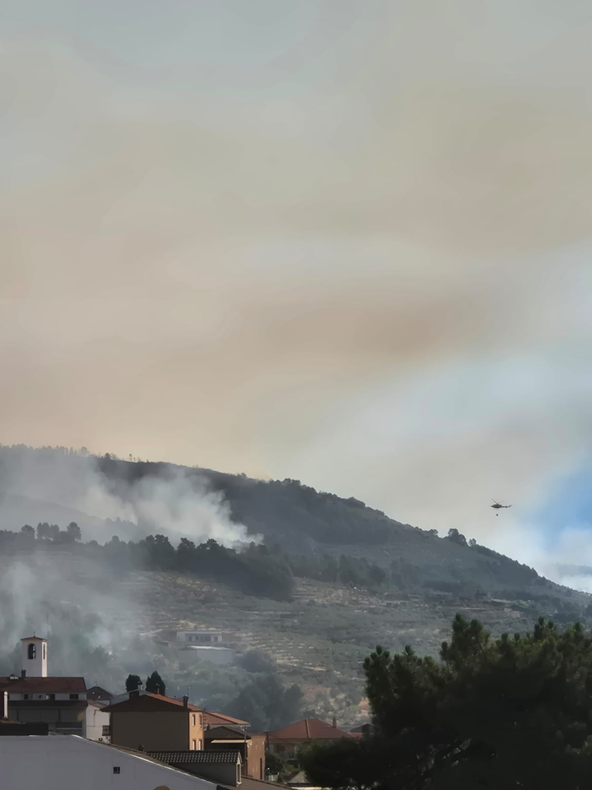 Imagen de portada
