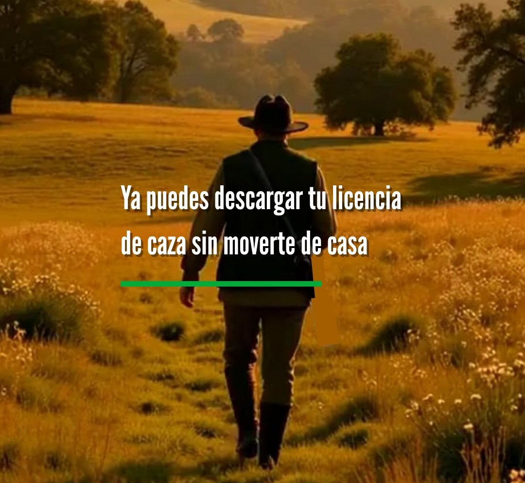 Imagen de portada