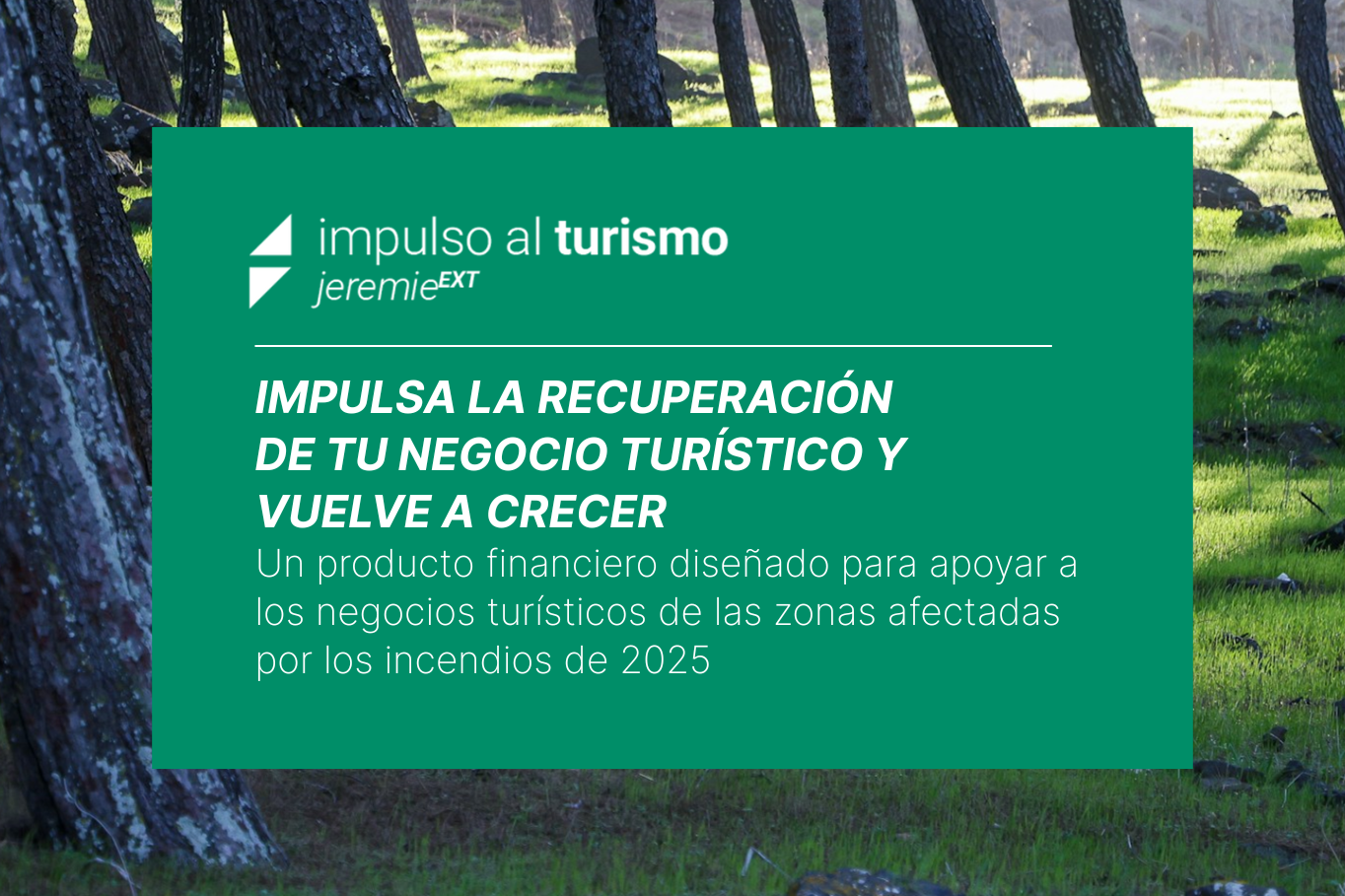 Imagen de portada