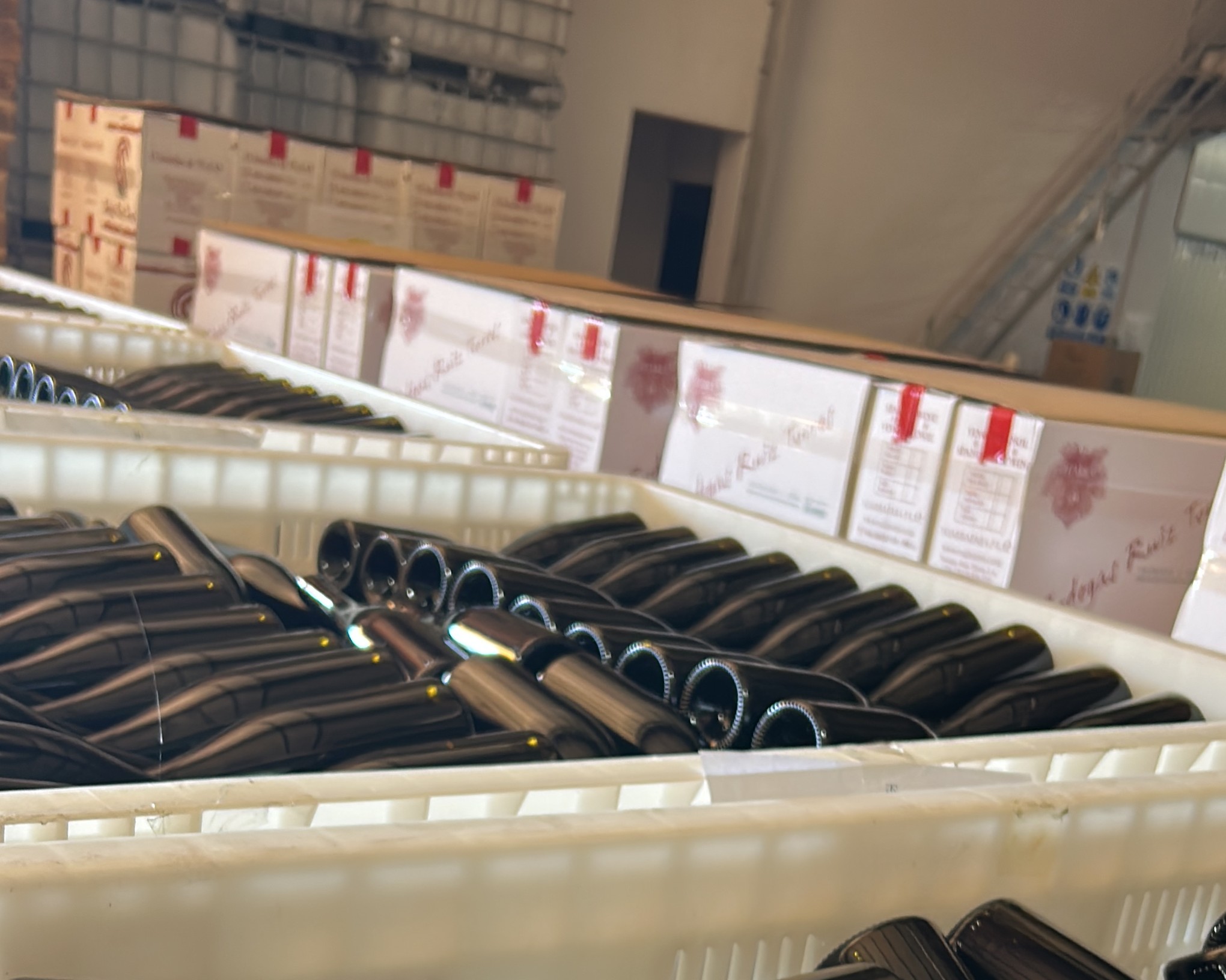 Visita  Bodegas Ruiz Torres foto 1