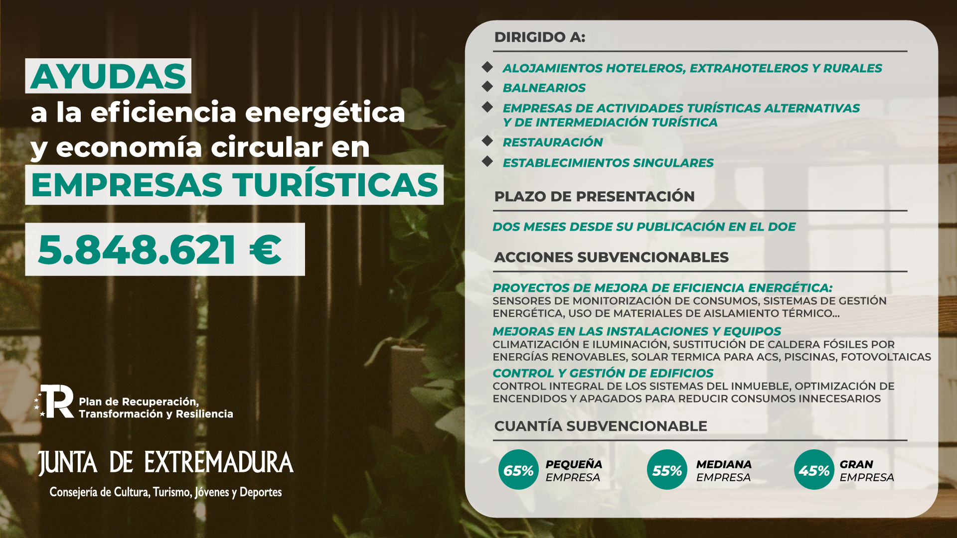 Imagen de portada