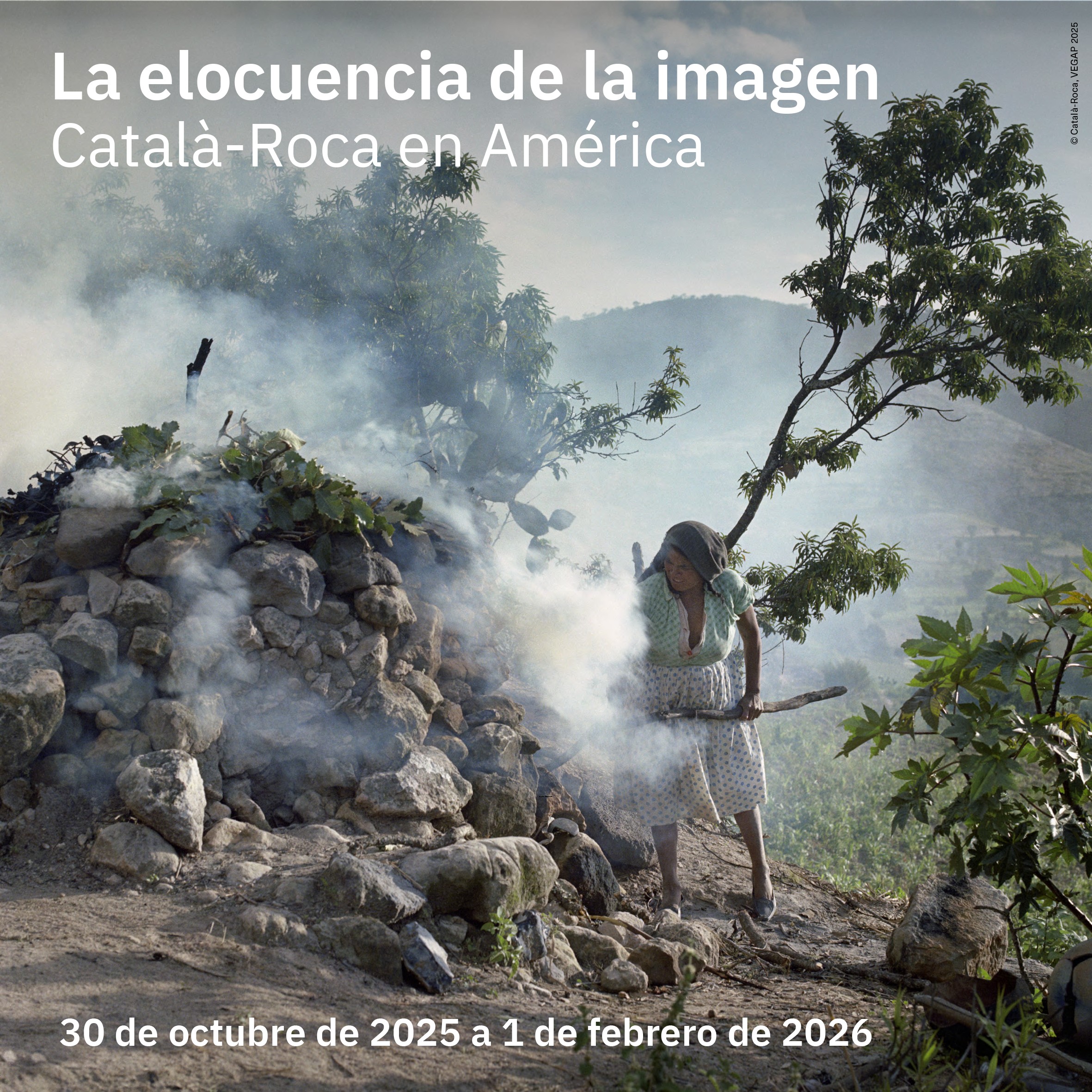 Imagen de portada