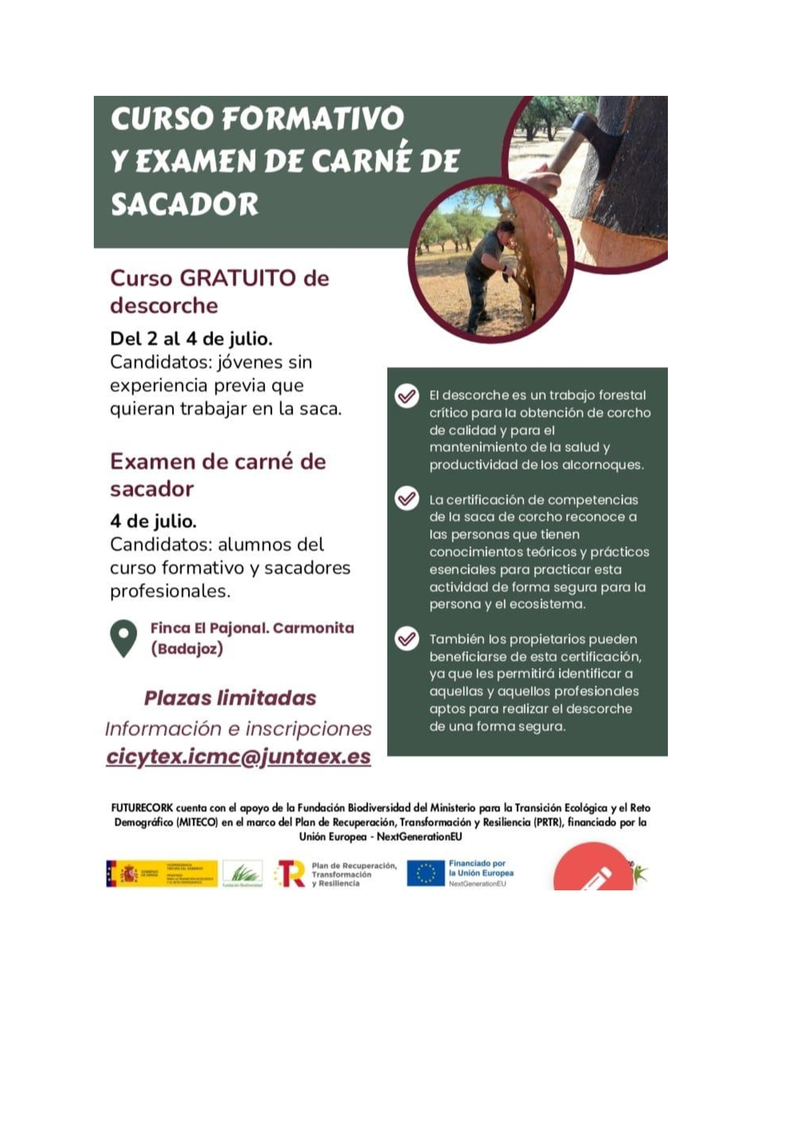 Imagen de portada