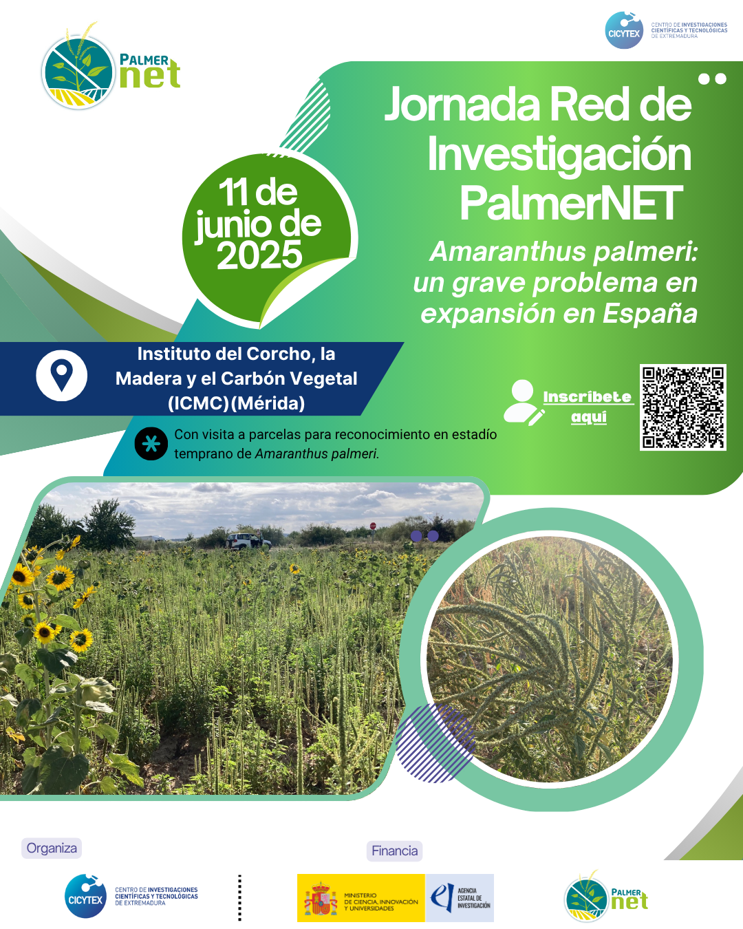 Imagen de portada