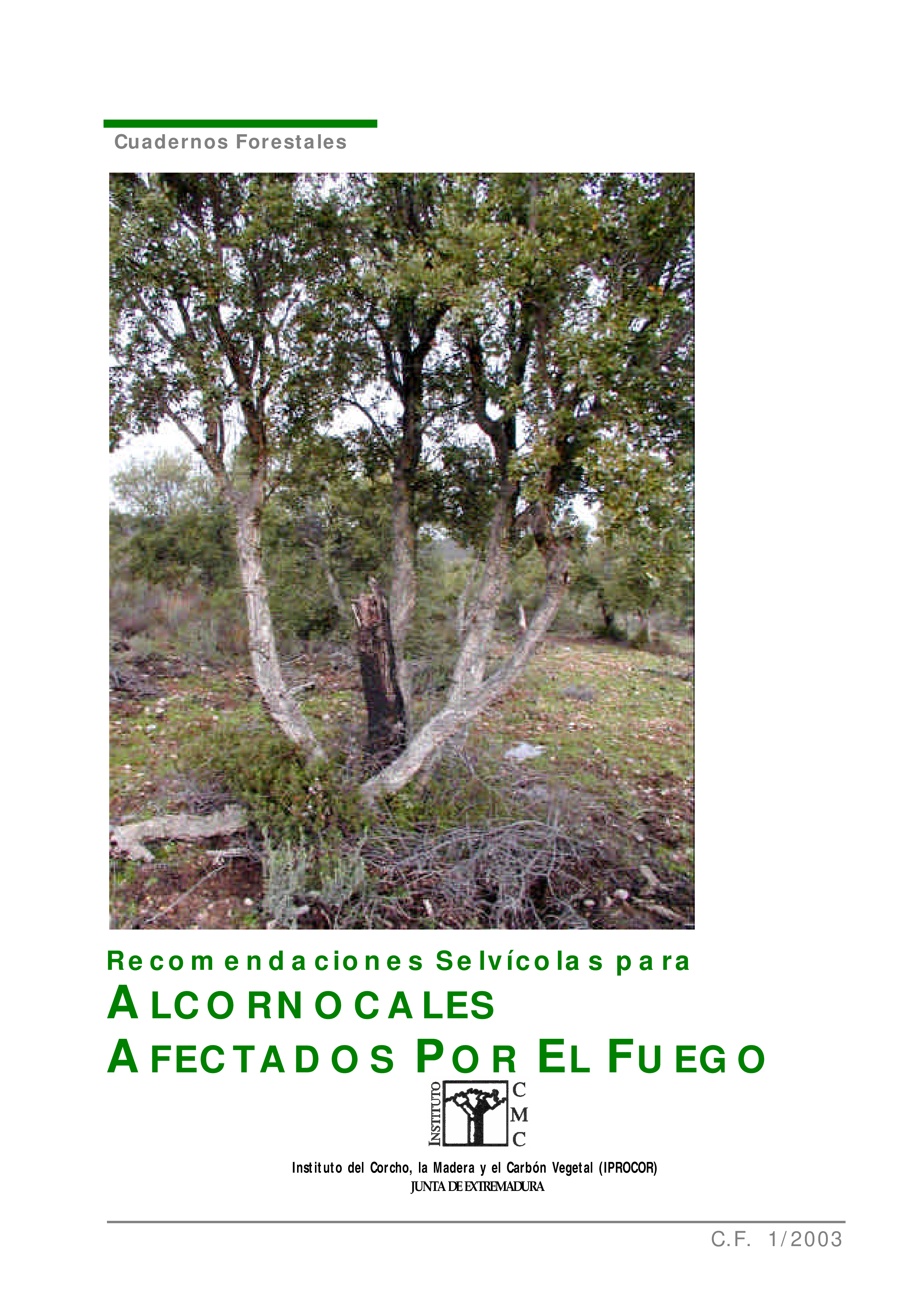 Imagen de portada