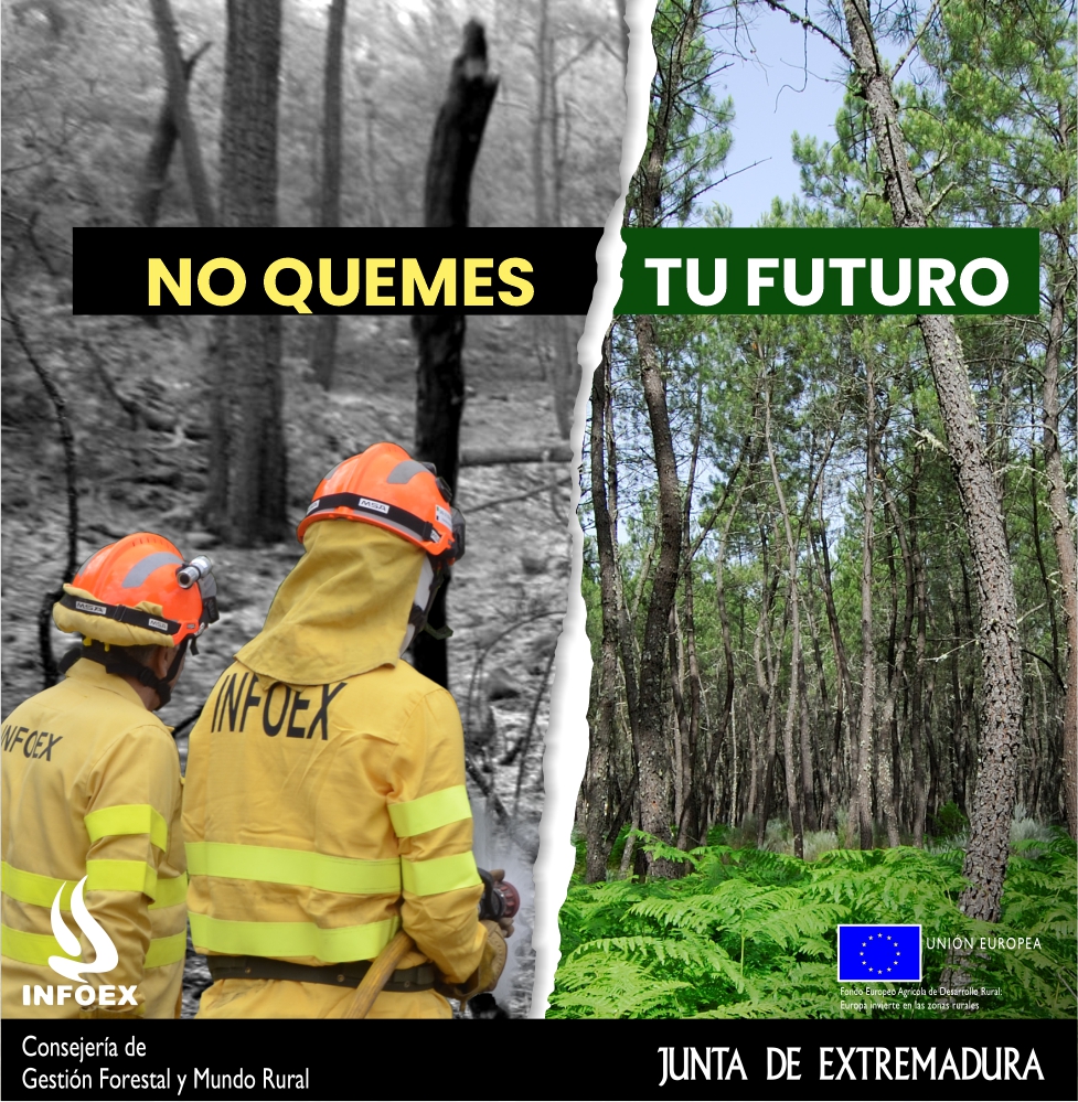 Imagen de portada